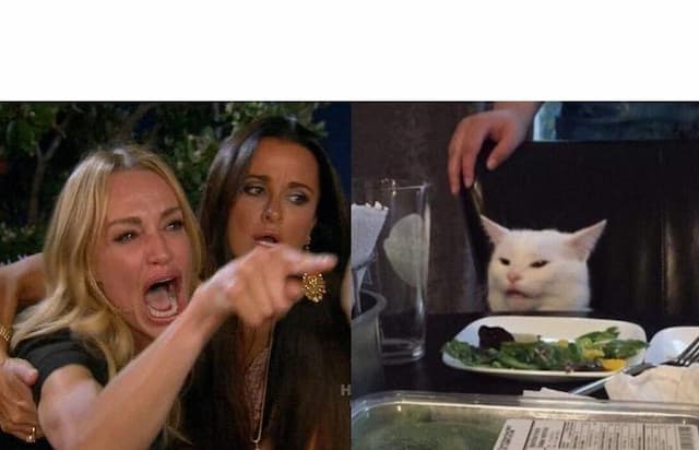 Woman Yelling At Cat Meme Generator